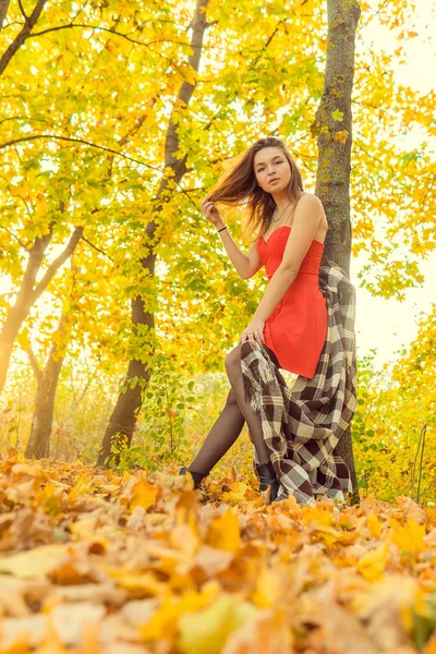Bir kadın bir sonbahar Park bir kamera önünde poz. Sonbahar fotoğraf çekimi. Sonbahar Park. — Stok fotoğraf