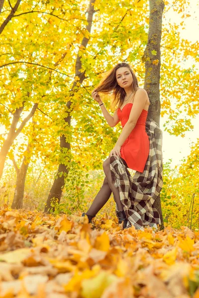 Una mujer posa delante de una cámara en un parque de otoño. sesión de fotos de otoño. Otoño en el parque . —  Fotos de Stock