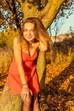 Bir kadın bir sonbahar Park bir kamera önünde poz. Sonbahar fotoğraf çekimi. Sonbahar Park.