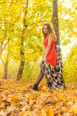 Bir kadın bir sonbahar Park bir kamera önünde poz. Sonbahar fotoğraf çekimi. Sonbahar Park.