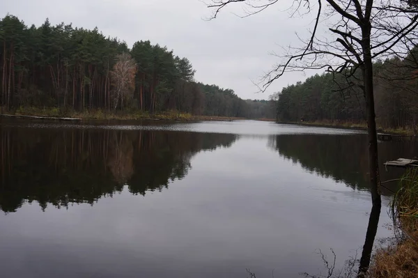 Belo lago de montanha Maricheika nos Cárpatos ucranianos. Dia ensolarado de verão. Natureza ucraniana dos belos lugares do país. Zona tampão . — Fotografia de Stock