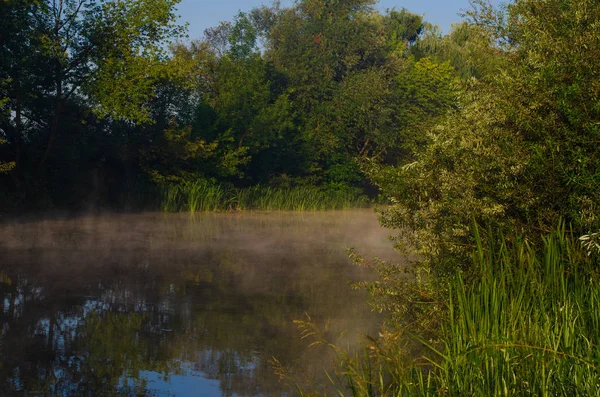 Ochtend op de rivier vroeg in de ochtend rieten mist en water oppervlak op de rivier. — Stockfoto