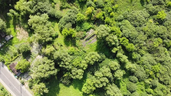 Um drone na floresta. Tiroteio florestal do drone. Irkutsk. Região de Irkutsk . — Fotografia de Stock