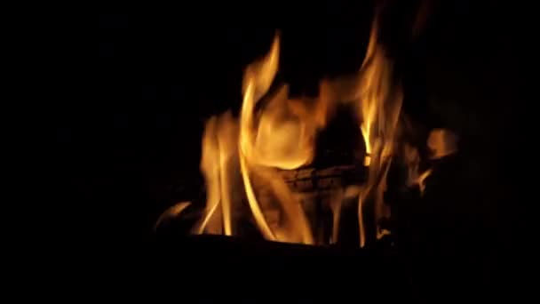 View Fire Flame Black Background — Stock Video