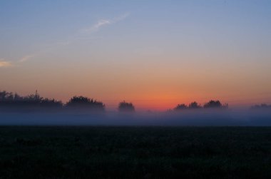 Yeşil Alan ve Güzel Gün Batımı