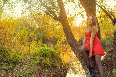 Bir kadın bir sonbahar Park bir kamera önünde poz. Sonbahar fotoğraf çekimi. Sonbahar Park.