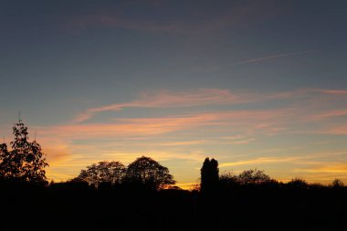 Ağaçların üzerinde güzel bir gün batımı