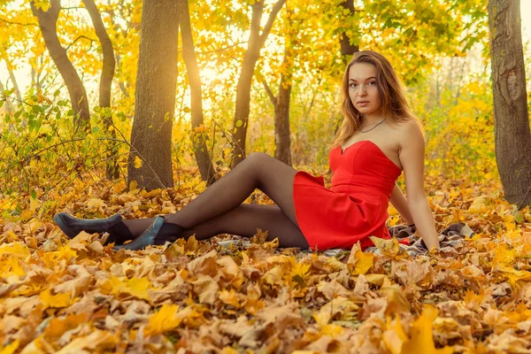 A woman is posing in front of a camera in an autumn park. autumn photo shoot. Autumn in the park. — Stock Photo, Image