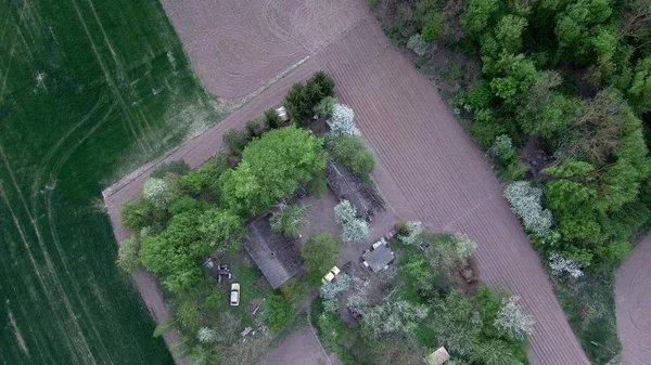 Drönaren cirklar över korsningen av grusvägar i byn. Sommarlandskap med tak, trädgårdar, fält och skog. Flygfoto över Ukraina. — Stockfoto