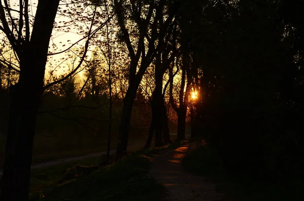 Драматический закат и восход солнца. — стоковое фото