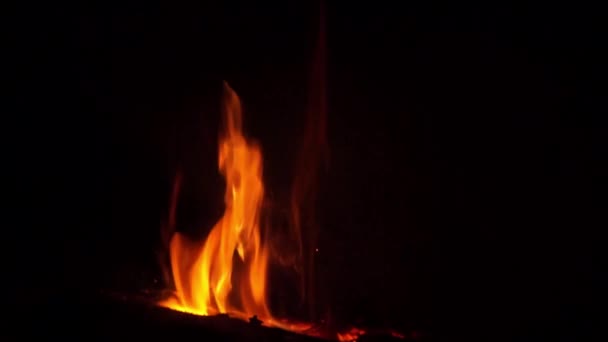 Hermoso Fuego Noche — Vídeos de Stock