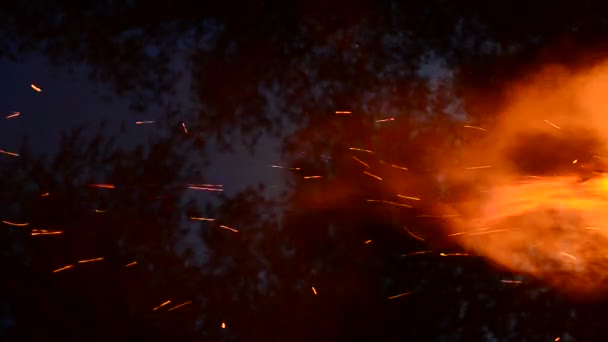 Imágenes Combustión Fuego Viento Elemento — Vídeos de Stock