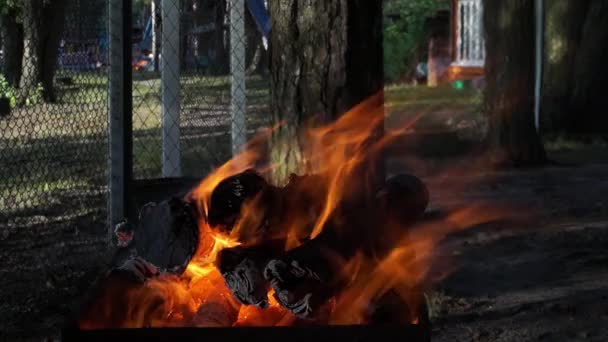 Filmati Combustione Fuoco Vento Elemento — Video Stock