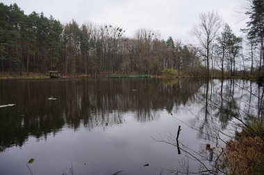 Güzel dağ gölü Maricheika Ukrayna Karpatlar. Yaz güneşli gün. Ülkenin güzel yerleri Ukrayna doğası. Tampon bölge.