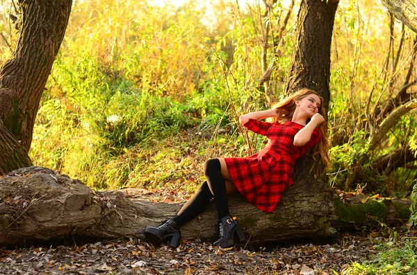 가을 나뭇잎을 둘러싸고 있는 아름다운 아가씨의 옥외 패션 사진 — 스톡 사진