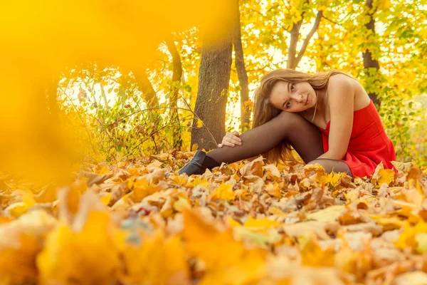 Bir kadın bir sonbahar Park bir kamera önünde poz. Sonbahar fotoğraf çekimi. Sonbahar Park. — Stok fotoğraf