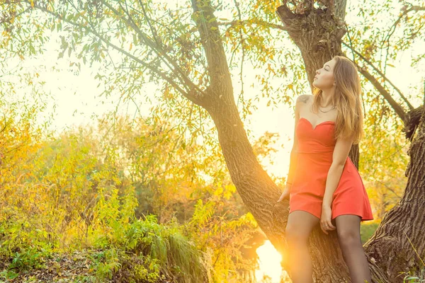 女性は秋の公園でカメラの前でポーズをとっています。秋の写真撮影。公園の秋. — ストック写真