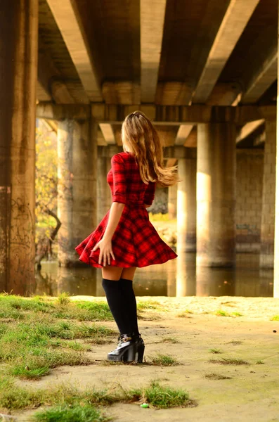 Foto de moda ao ar livre de jovem bela senhora cercada outono — Fotografia de Stock