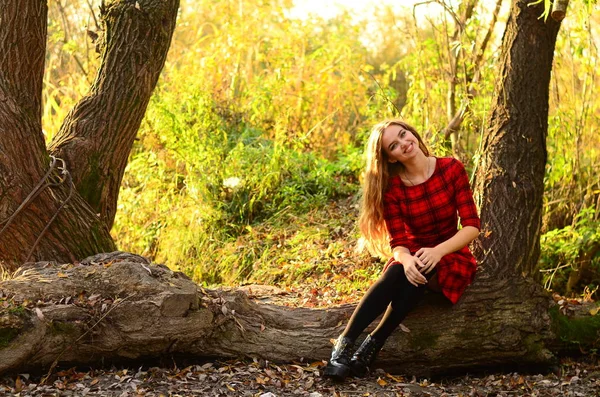 Outdoor fashion photo of young beautiful lady surrounded autumn leaves — Stock Photo, Image