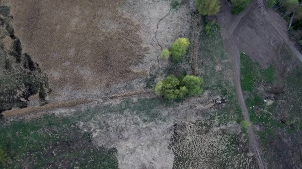 Um drone na floresta. Tiroteio florestal do drone. Irkutsk. Região de Irkutsk . — Fotografia de Stock