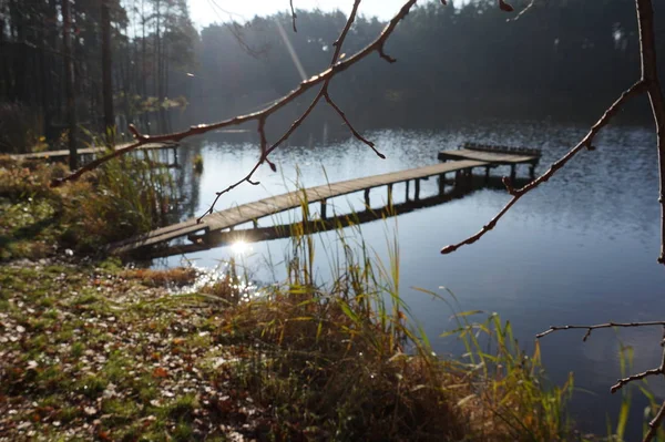 Belo lago de montanha Maricheika nos Cárpatos ucranianos. Dia ensolarado de verão. Natureza ucraniana dos belos lugares do país. Zona tampão . — Fotografia de Stock