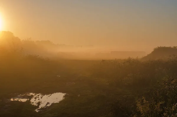 Campo verde e bellissimo tramonto — Foto Stock