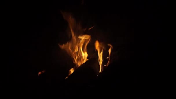 Piękny Ogień Nocy — Wideo stockowe