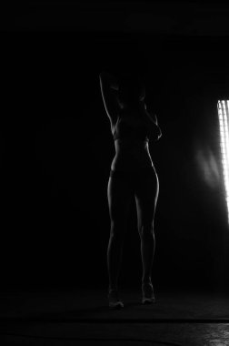 Kısa donlu güzel bir kadın silueti. Karanlık stüdyo arka planında poz veriyor.    