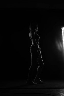 Kısa donlu güzel bir kadın silueti. Karanlık stüdyo arka planında poz veriyor.    