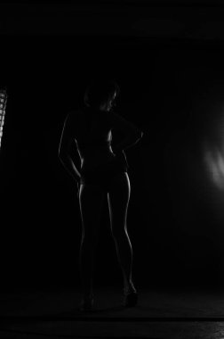 Kısa donlu güzel bir kadın silueti. Karanlık stüdyo arka planında poz veriyor.    