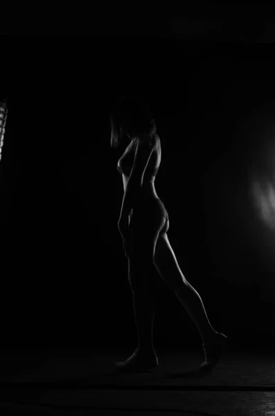 Силует Красивої Жінки Коротким Слухом Спідній Білизні Позує Темному Студійному — стокове фото