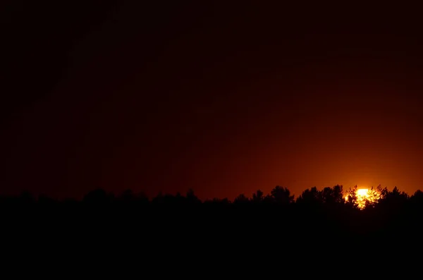 夕阳西下 — 图库照片