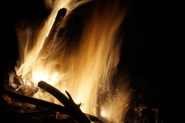 Fogueira queimando árvores à noite. Grande chama laranja isolada sobre um fundo preto. Fogo no preto. Brightly, calor, luz, camping, fogueira grande — Fotografia de Stock