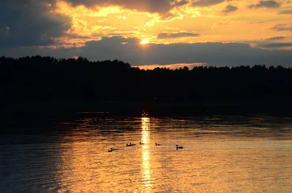 Panoramisch Uitzicht Zonsondergang Het Strand Met Prachtige Lucht — Stockfoto