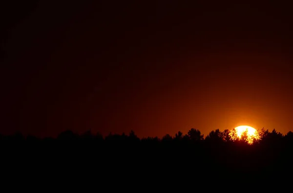 Coucher de soleil ciel nuages — Photo