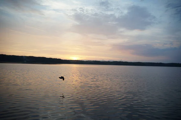 Vista Pitoresca Pôr Sol Refletindo Sobre Superfície Espelho Lago — Fotografia de Stock