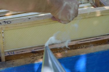 Bal hücreleri üzerinde çalışan arıların görüntüsünü kapat.