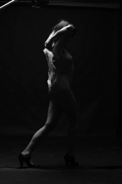 Dekoratif melek kanatları takan çıplak bir kadın. Karanlık arka planda poz veriyor.    