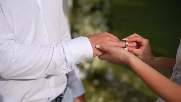 A noiva veste um anel de noivado no dedo do noivo . — Vídeo de Stock