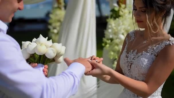Recém Casados Trocam Alianças Casamento Arco Casamento Cerimônia Casamento — Vídeo de Stock
