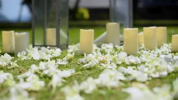 Decoraciones Boda Blancas Césped Verde Sillas Invitados Día Soleado — Vídeos de Stock