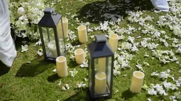 Білі Весільні Прикраси Зеленому Газоні Гостьові Стільці Сонячний День — стокове відео
