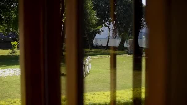 Décorations Mariage Blanches Sur Une Pelouse Verte Chaises Invités Journée — Video