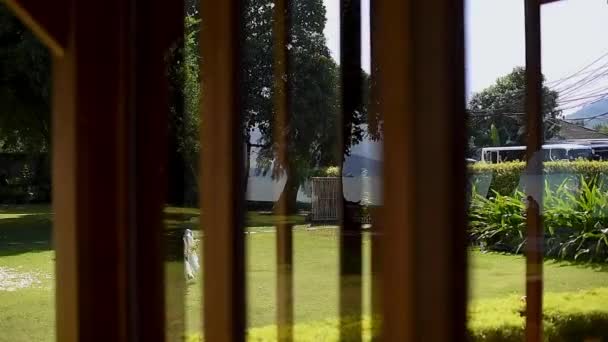 Decoraciones Boda Blancas Césped Verde Sillas Invitados Día Soleado — Vídeo de stock