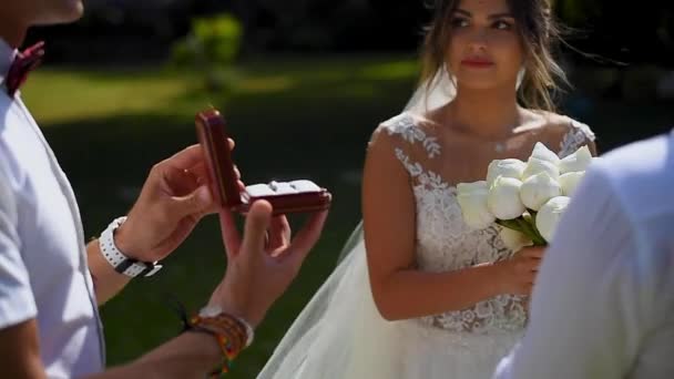 Frischvermählte Tauschen Eheringe Hochzeitsbogen Trauung — Stockvideo