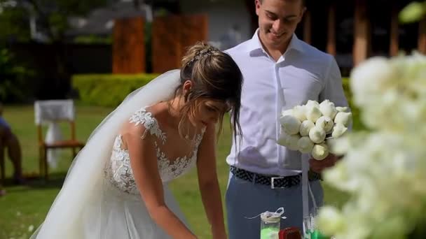 Recém Casados Trocam Alianças Casamento Arco Casamento Cerimônia Casamento — Vídeo de Stock