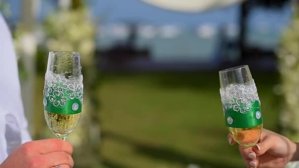 Recém Casados Bebem Champanhe Casamento Saúde — Vídeo de Stock