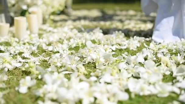 緑の芝生に白い結婚式の装飾 ゲストチェア 晴れた日 — ストック動画