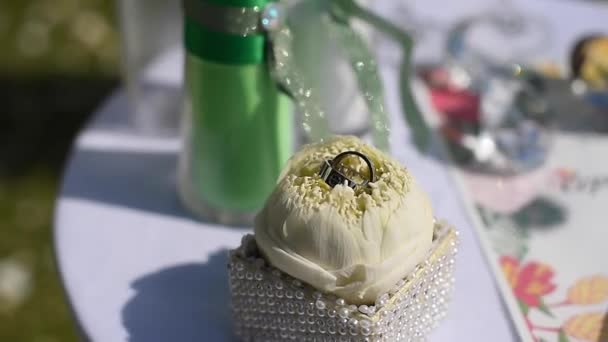 緑の芝生に白い結婚式の装飾 ゲストチェア 晴れた日 — ストック動画