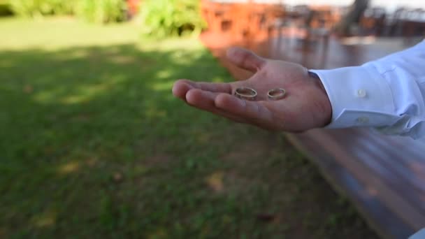 Bruidegom Houdt Zijn Hand Trouwringen Een Achtergrond Van Groen Gazon — Stockvideo